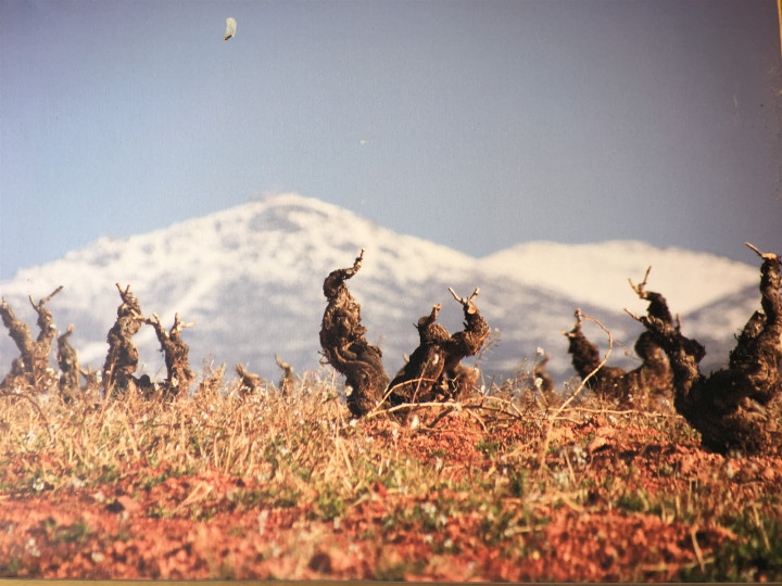 2017-07-10 123659_副本.jpg